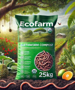Phân trùn quế Ecofarm