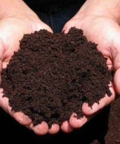 (Cận cảnh chất Phân trùn quế Ecofarm cao cấp, đã qua sàng lọc, giảm ẩm và rây mịn)