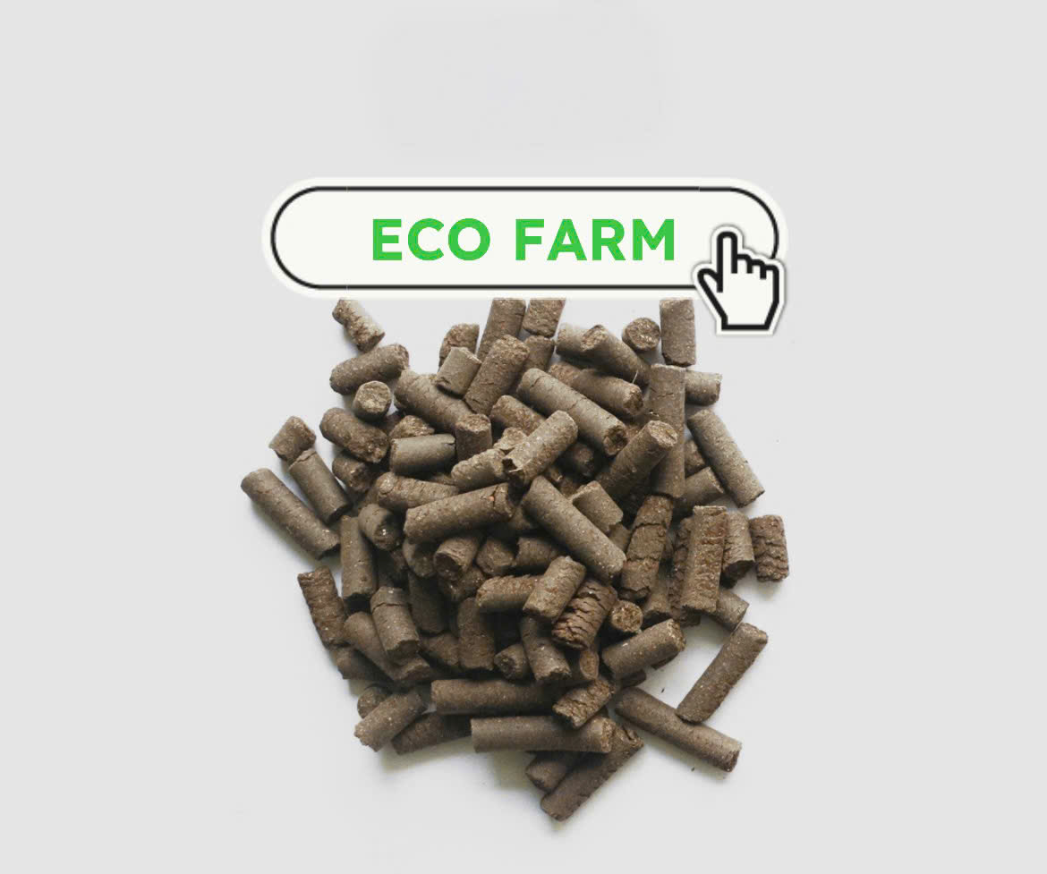 Phân trùn quế viên nén ECO FARM